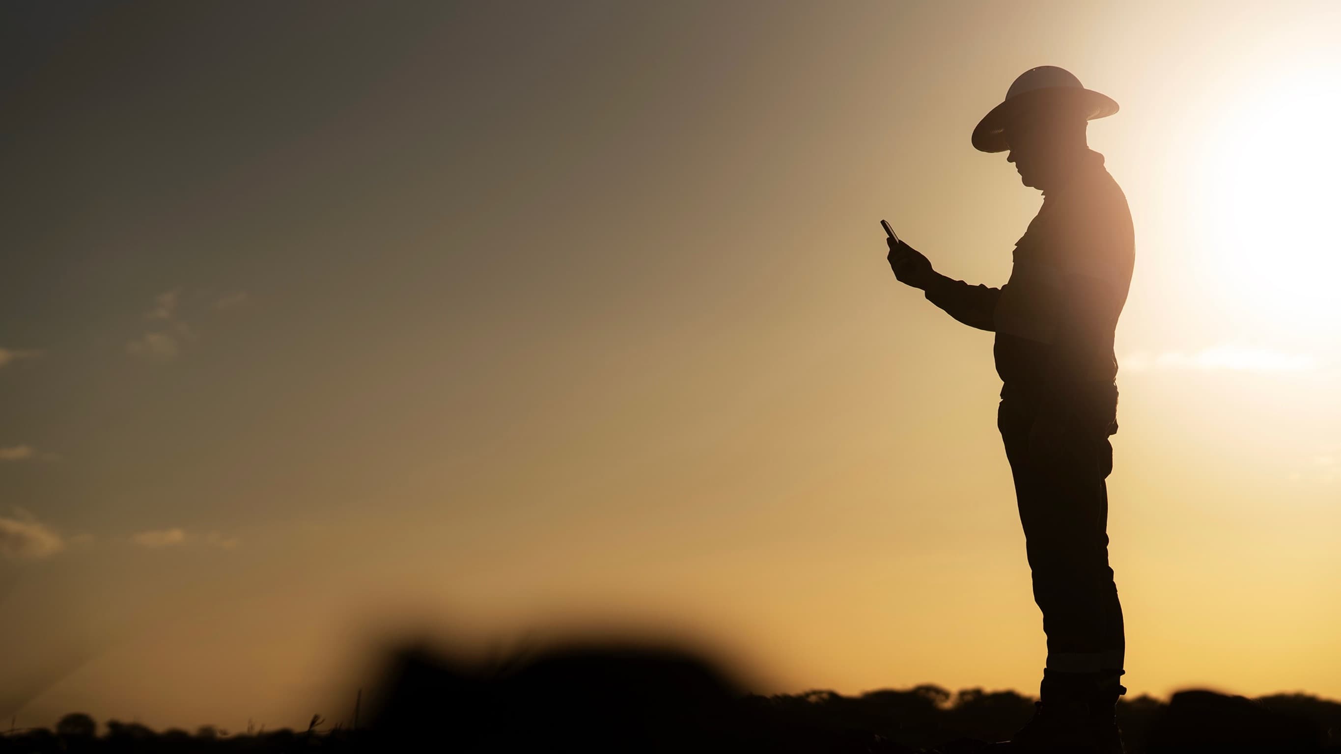 A field worker using a mobile device outdoors at sunset.